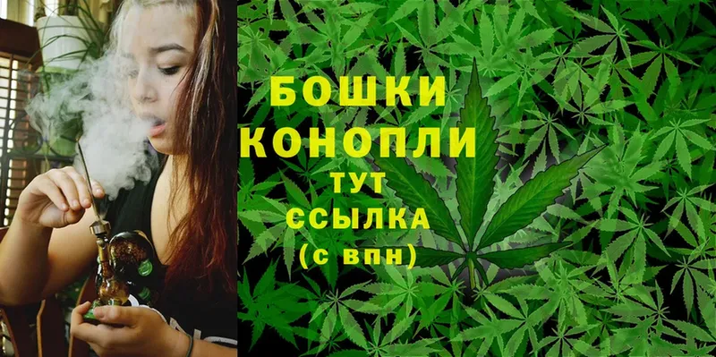 купить закладку  Гусев  Бошки Шишки SATIVA & INDICA 